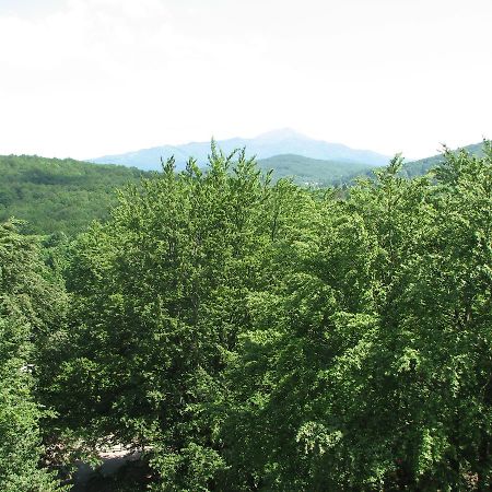 Apartment Vito Plitvička Jezera Kültér fotó